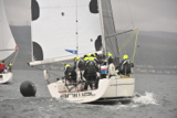 animal gbr1952l kip 13 130511 5002